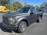 2016 Gray Ford F-150 XL 6.5-ft. Bed 2WD (1FTMF1E85GF) with an 3.5L V6 DOHC 24V engine, 6A transmission, located at 8464 Route 219, Brockway, PA, 15824, (814) 265-1330, 41.226871, -78.780518 - Good looking truck with low miles and very nice shape. V6 engine, automatic, air condition, and short bed. Serviced up and ready to go. - Photo#0