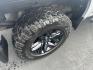 2019 Silver Chevrolet Silverado 1500 Custom Trail Boss Double Cab 4WD (1GCRYCEF4KZ) with an 5.3L V8 OHV 16V engine, 6A transmission, located at 8464 Route 219, Brockway, PA, 15824, (814) 265-1330, 41.226871, -78.780518 - Photo#13