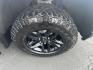 2019 Silver Chevrolet Silverado 1500 Custom Trail Boss Double Cab 4WD (1GCRYCEF4KZ) with an 5.3L V8 OHV 16V engine, 6A transmission, located at 8464 Route 219, Brockway, PA, 15824, (814) 265-1330, 41.226871, -78.780518 - Photo#18