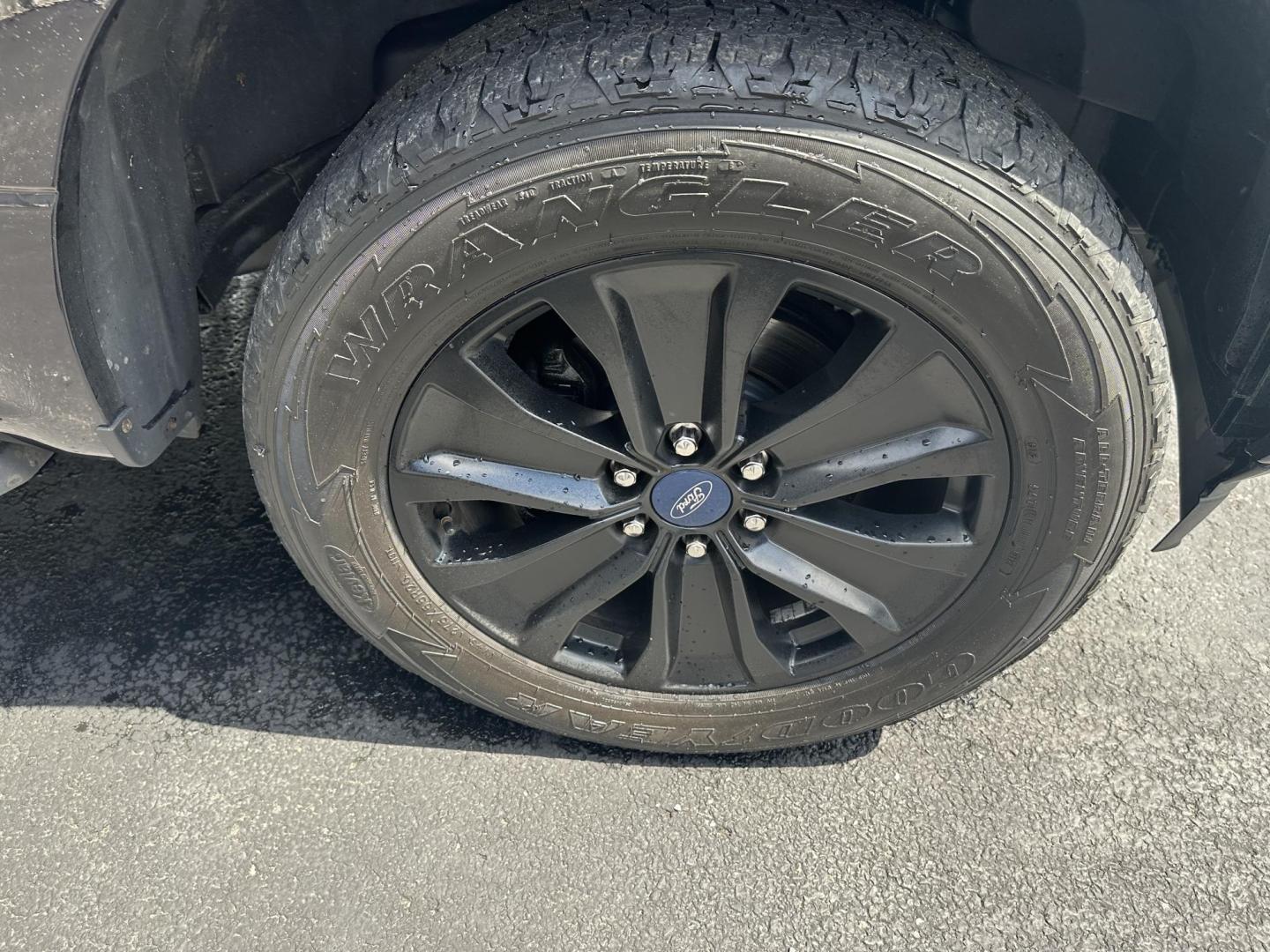 2020 Black Ford F-150 King-Ranch SuperCrew 5.5-ft. 4WD (1FTEW1E56LF) with an 5.0L V8 OHV 32V engine, 6A transmission, located at 8464 Route 219, Brockway, PA, 15824, (814) 265-1330, 41.226871, -78.780518 - Very clean and well taken care of 2020 Ford F150 Crew Cab with a V8 engine, air condition, power windows and locks, factory alloy wheels, hitch and much more. This truck is serviced and ready to sell!! - Photo#19