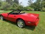 1988 Red Chevrolet Corvette Convertible (1G1YY3180J5) with an 5.7L V8 OHV 16V engine, located at 8464 Route 219, Brockway, PA, 15824, (814) 265-1330, 41.226871, -78.780518 - Photo#12