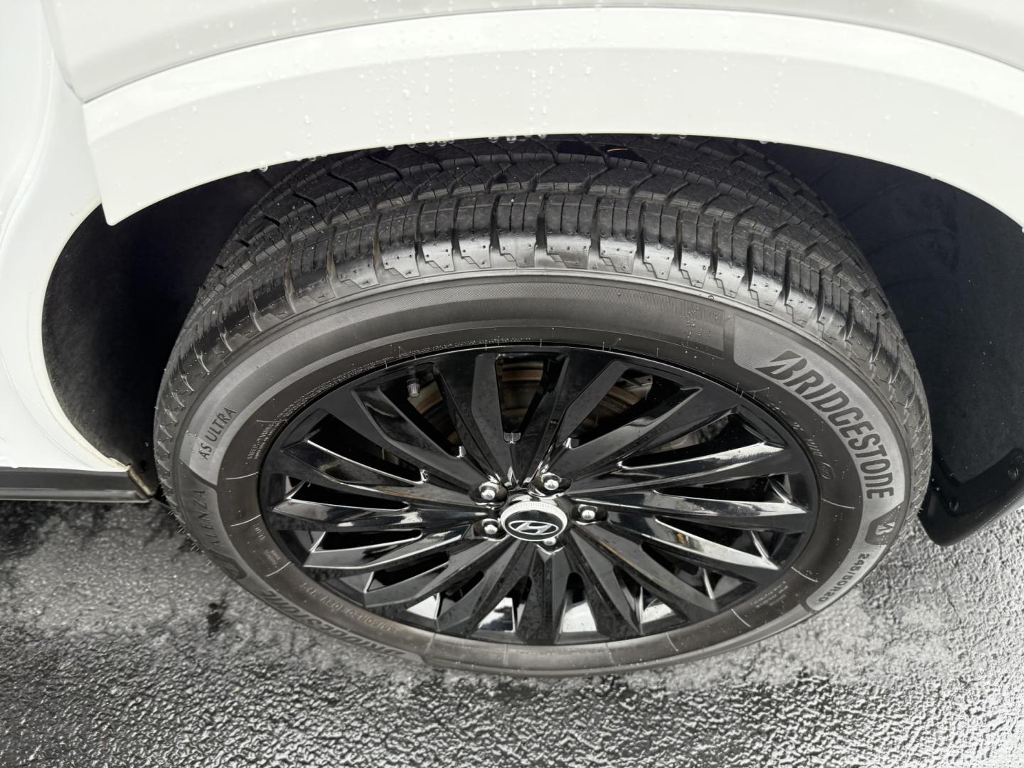 2024 White Hyundai Palisade Calligraphy AWD (KM8R7DGEXRU) with an 3.8L V6 DOHC 24V engine, 8A transmission, located at 8464 Route 219, Brockway, PA, 15824, (814) 265-1330, 41.226871, -78.780518 - MUST SEE SUV...This 2024 Hyundai Palisade AWD is well equipped with power/heated seats, pano roof, navigation, 7 passenger with rear a/c, factory wheels, and much much more. This Hyundai is serviced, Pa-inspected and comes with factory warranty. Must see car and priced well under retail value!!! - Photo#13